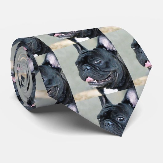 Franse hond van Bulldog Stropdas (Opgerold)