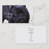 Franse hond van Bulldog Visitekaartje (Voorkant / Achterkant)