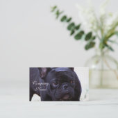 Franse hond van Bulldog Visitekaartje (Staand voorkant)