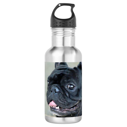 Franse hond van Bulldog Waterfles (Voorkant)