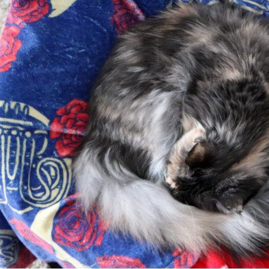 Franse hoorn fleece deken