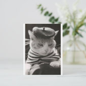 franse kat briefkaart (Staand voorkant)