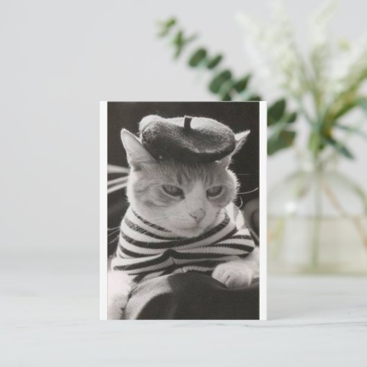  franse kat briefkaart (Staand voorkant)