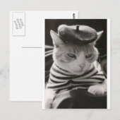 franse kat briefkaart (Voorkant / Achterkant)