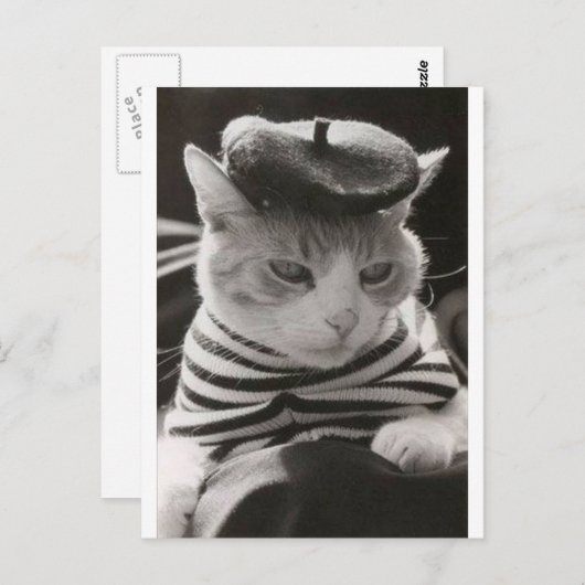 franse kat briefkaart (Voorkant / Achterkant)