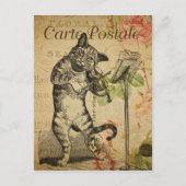  Franse kat die de gewelddadigheden speelt Briefkaart (Voorkant)
