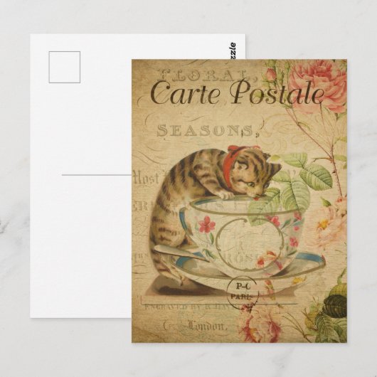  Franse kat Drink de Tea Cup Briefkaart (Voorkant / Achterkant)