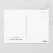  Franse kat Drink de Tea Cup Briefkaart (Achterkant)