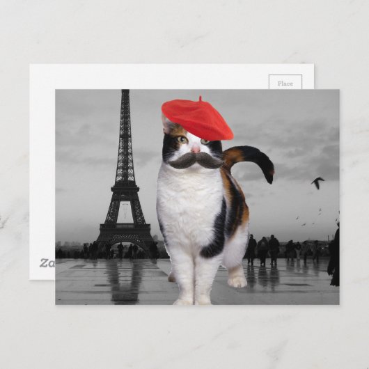 Franse kat in Parijs Briefkaart (Voorkant / Achterkant)