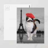 Franse kat in Parijs Briefkaart (Voorkant / Achterkant)