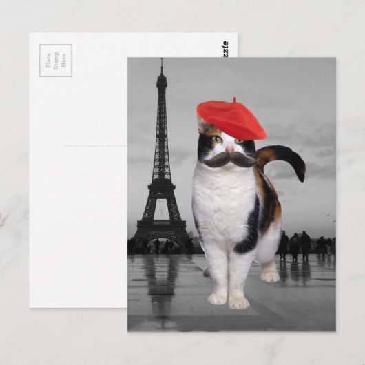 Franse kat in Parijs Briefkaart (Voorkant / Achterkant)