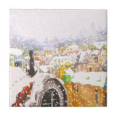 Franse kat op het dak tegeltje (Voorkant)