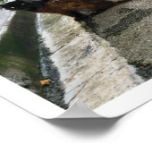 Franse kat poster (Hoek)