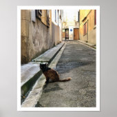 Franse kat poster (Voorkant)