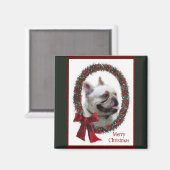Franse kerstcadeautjes met Bulldog Magneet (Voorkant / Achterkant)