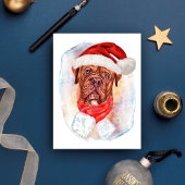 franse kerstcadeautjes voor honden feestdagenkaart