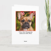 Franse kerstkaart met Bulldog Feestdagen Kaart (Achterkant)