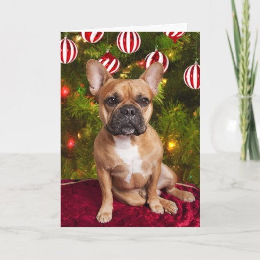 Franse kerstkaart met Bulldog Feestdagen Kaart (Voorkant)