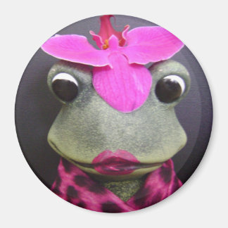 Franse kikkermagneet magneet