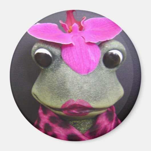 Franse kikkermagneet magneet (Voorkant)