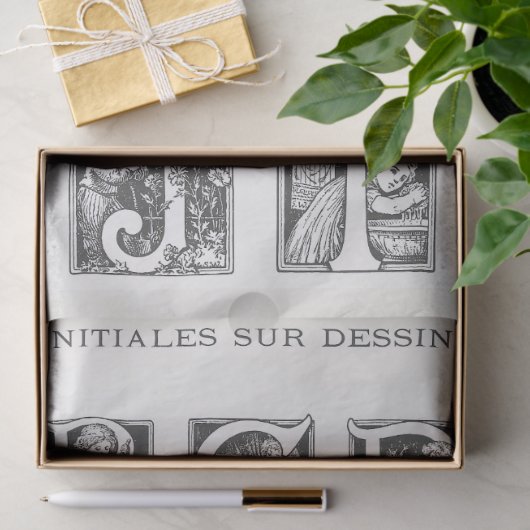  Franse kinderen geïllustreerd alfabet ambacht Tissuepapier (Geschenk)