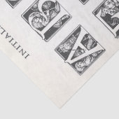  Franse kinderen geïllustreerd alfabet ambacht Tissuepapier (Detail)