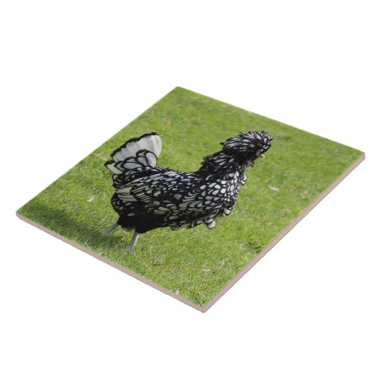 Franse kip tegeltje (Zijkant)