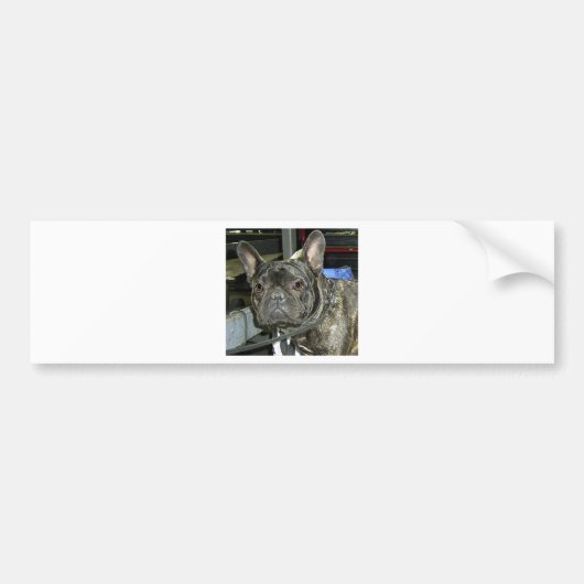 franse knuppel bumpersticker (Voorkant)