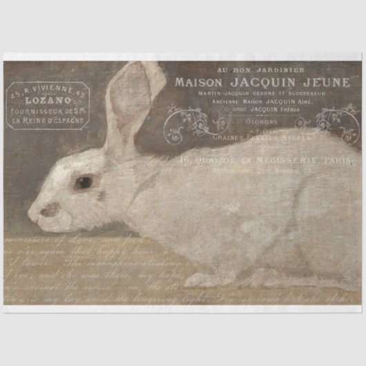  Franse konijn en ephemera-ontkoppeling Tissuepapier (Voorkant)