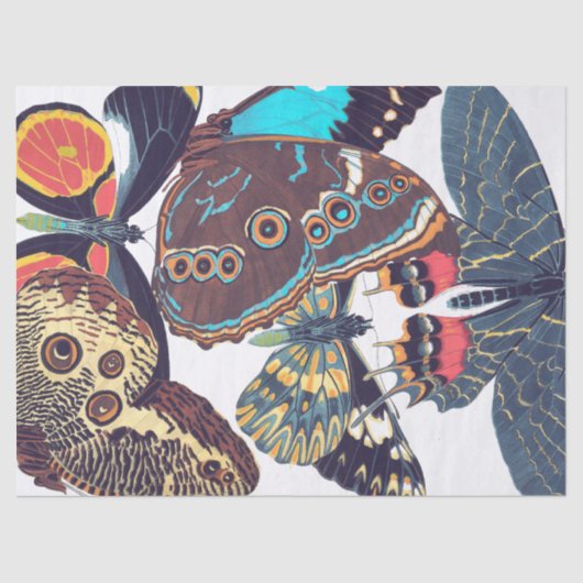 franse krant der nieuwe butterflies tissuepapier (Voorkant)