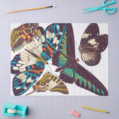 franse krant der nieuwe butterflies tissuepapier (Craft)