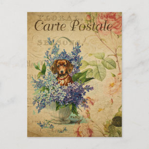  Franse kunstdrukken, honden Floral Briefkaart