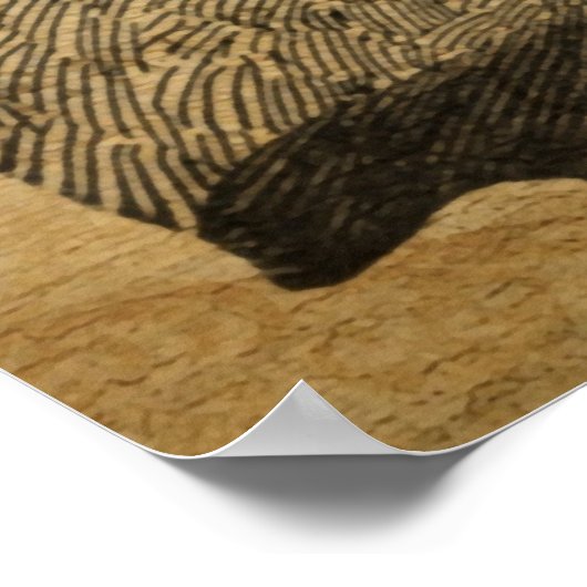 Franse kunstdrukken, kat en fiets Poster (Hoek)