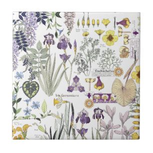 Franse kunstgreep ventilatorkeramische tegel tegeltje