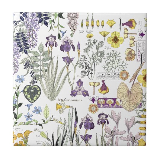 Franse kunstgreep  ventilatorkeramische tegel tegeltje (Voorkant)