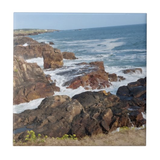 Franse kust in Vendée Tegeltje (Voorkant)