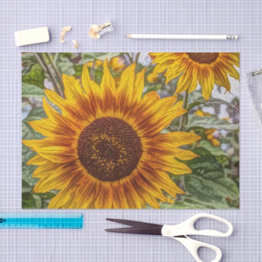 franse land zomer tuin gelukkige zonnebloem tissuepapier (Craft)