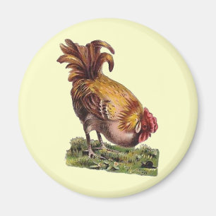 Franse landnummer Rooster Fridge Magnet