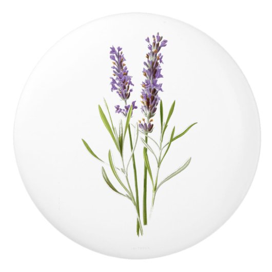  Franse lavendeklep Keramische Knop (Voorkant)