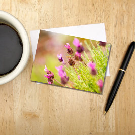 Franse Lavendel bloemen briefkaarten
