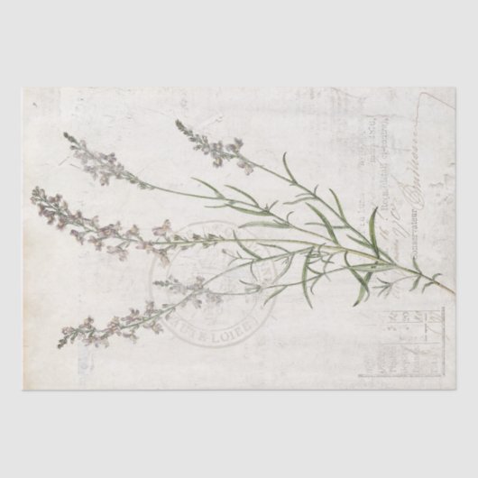 Franse  Lavendel Botanische Bloemen Decoupage Tissuepapier (Voorkant)