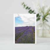 franse lavendel briefkaart (Staand voorkant)