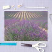 Franse lavendel tissuepapier (Craft)