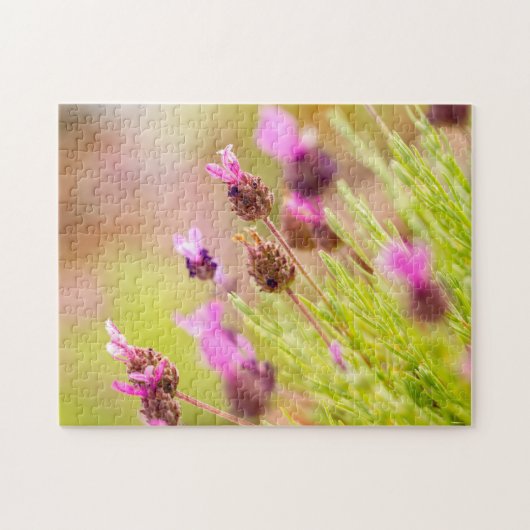 Franse lavender Flowers Jigzaag Puzzle Legpuzzel (Horizontaal)