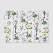 Franse lentebloem Daffodil Decoupage Tissuepapier (Voorkant)