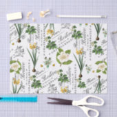Franse lentebloem Daffodil Decoupage Tissuepapier (Craft)