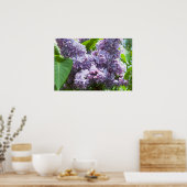 Franse Lilacs Poster (Keuken)