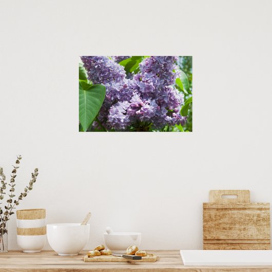 Franse Lilacs Poster (Keuken)