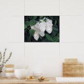 Franse Lilacs Poster (Keuken)