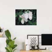 Franse Lilacs Poster (Thuiskantoor)